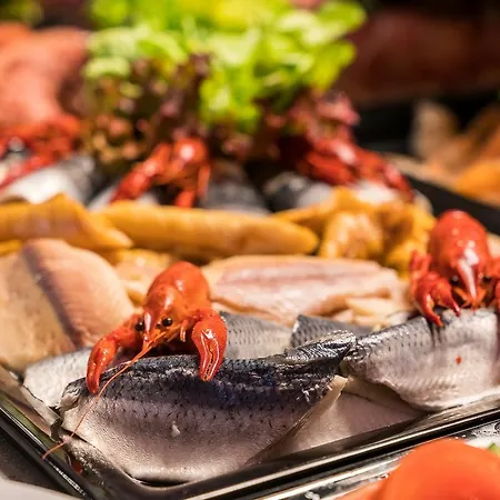 霍亨索伦海滩酒店 酒店 博尔库姆